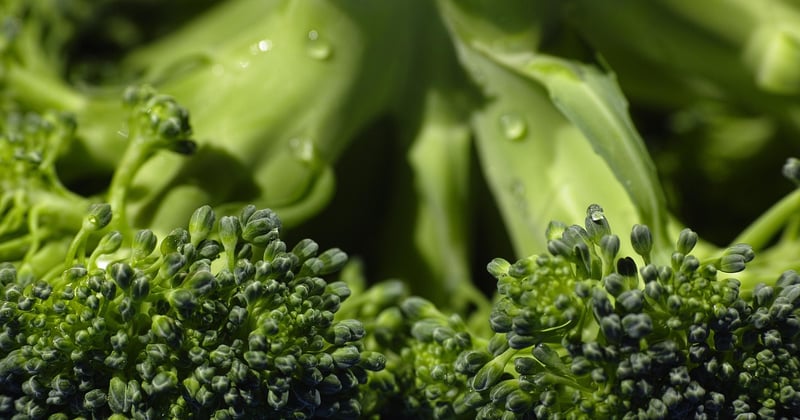 Combien de CO2 économise-t-on en devenant végétarien une semaine ?
