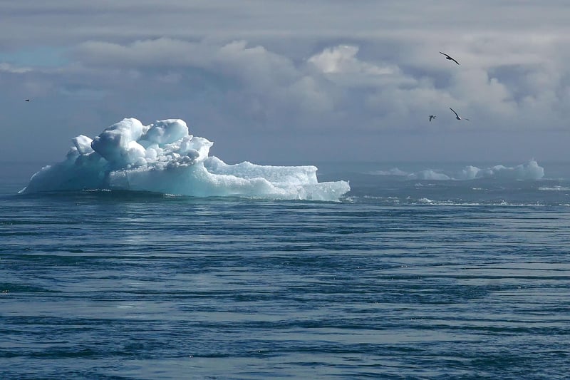 iceberg