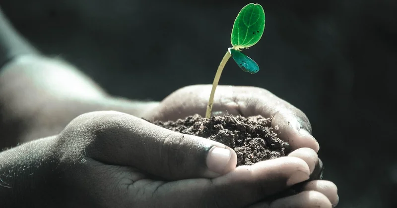 Les pièges du greenwashing : comment les repérer en 30 secondes
