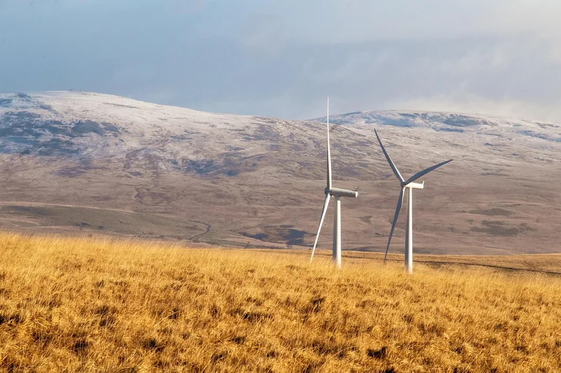 Comparatif des principaux fournisseurs d’électricité verte en 2026