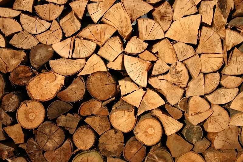 Déforestation : le double couteau qui tranche le climat