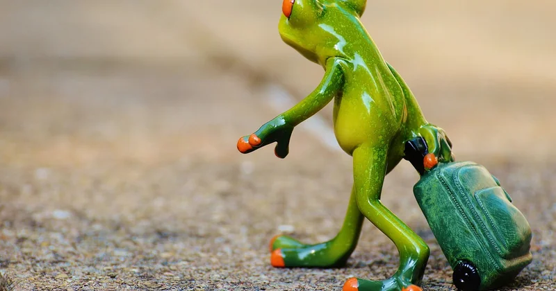 Les contraintes que personne n'aborde : voyage et conservation