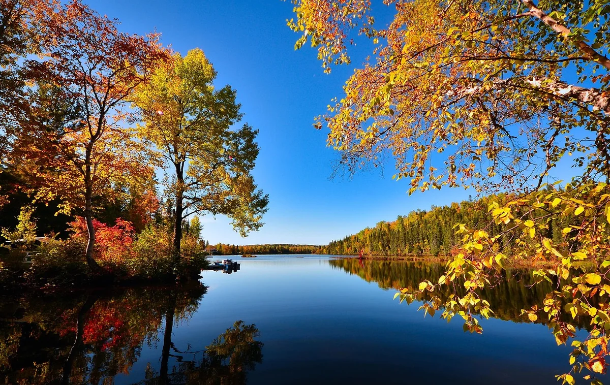 Découvrez l'impact du changement climatique sur la biodiversité en 2026