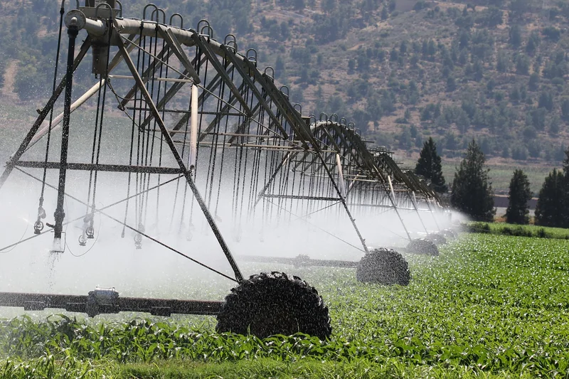 Agriculture et sécurité alimentaire